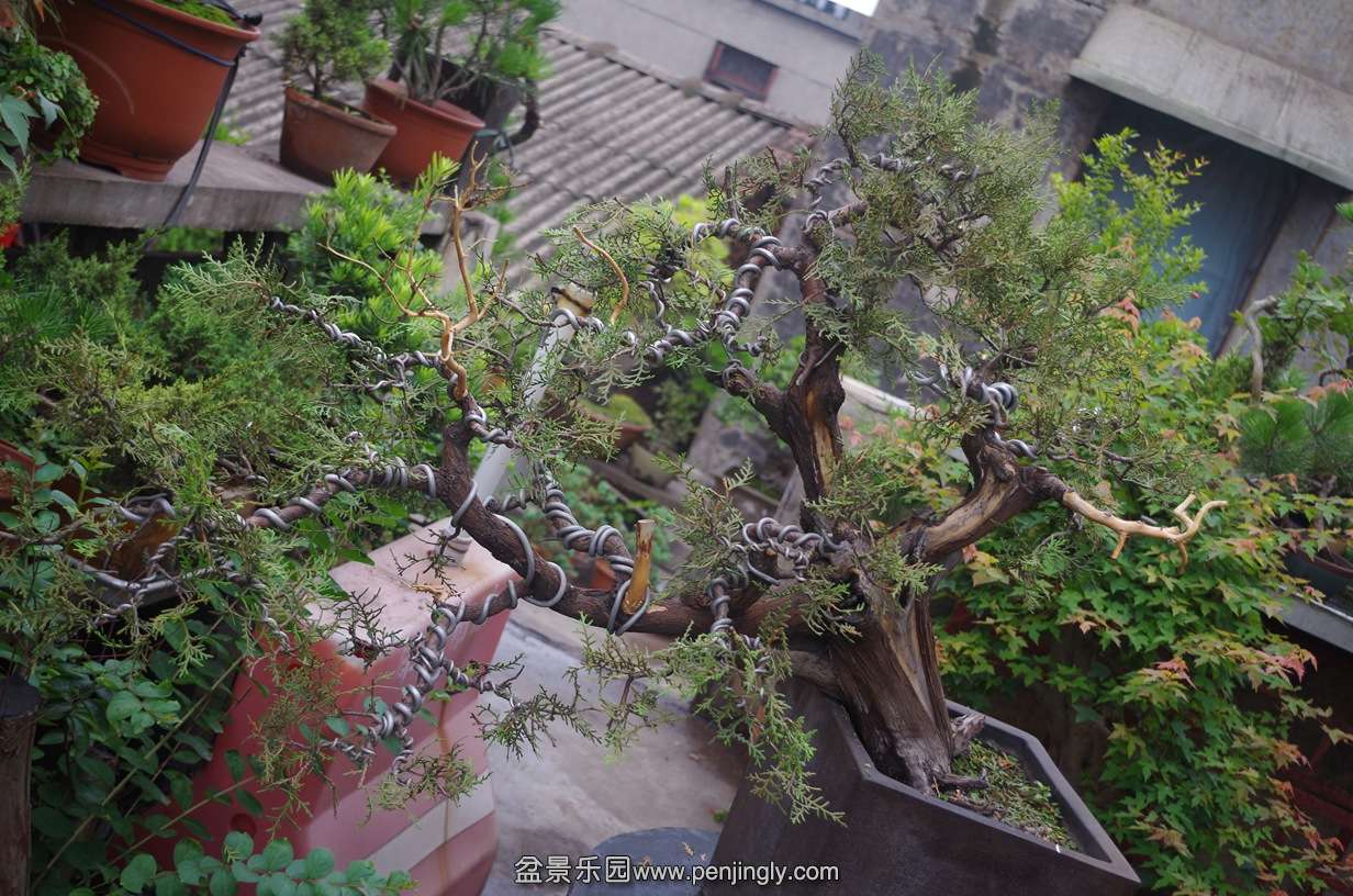 IMGP0288.jpg