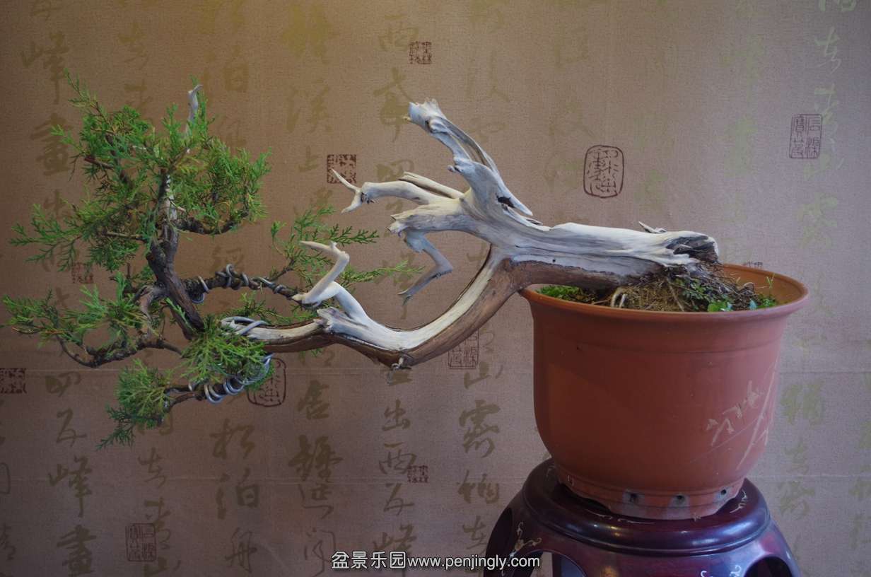 IMGP0316.jpg