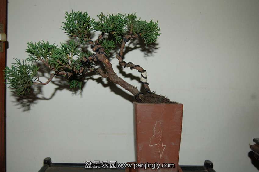 照片 372_副本.jpg