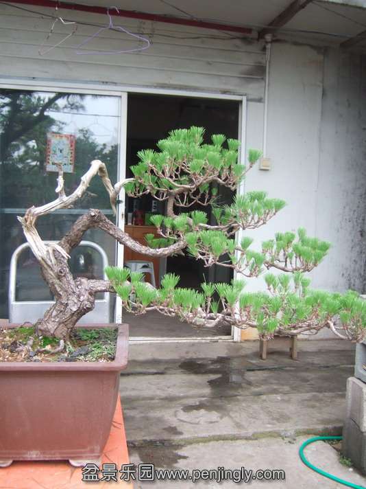 DSCF8802.jpg