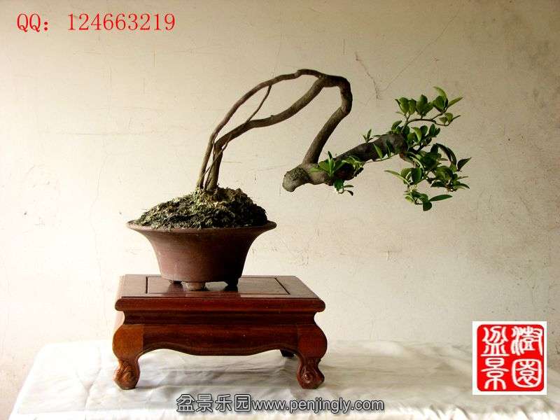 IMG_1770_副本.jpg