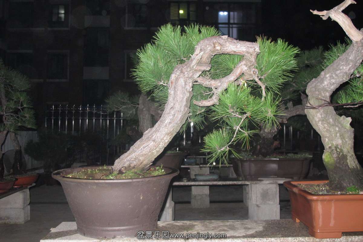 ҳ1.JPG