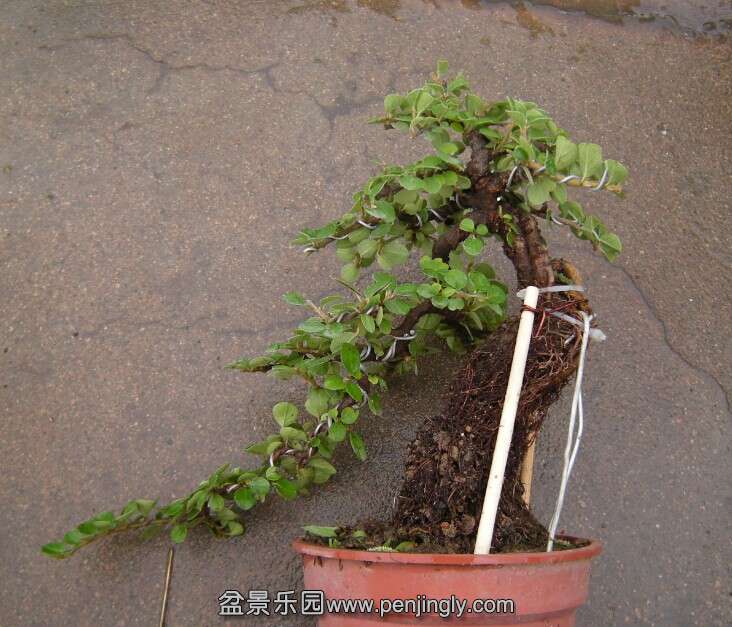 QQͼƬ20140708185055.jpg
