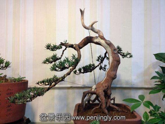 QQͼƬ20140708220352.jpg