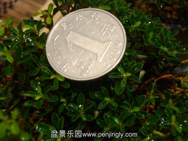 DSC08595.JPG
