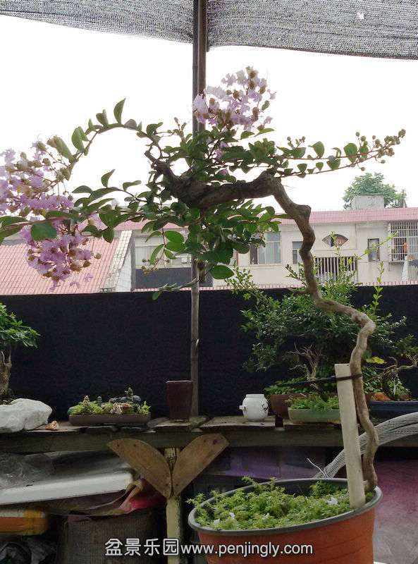 20140713_082235.jpg