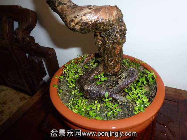 P1050615.JPG