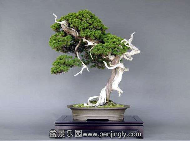 360截图20140701102545504.jpg