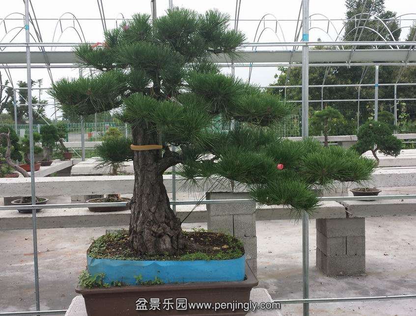 20140707_115454.jpg