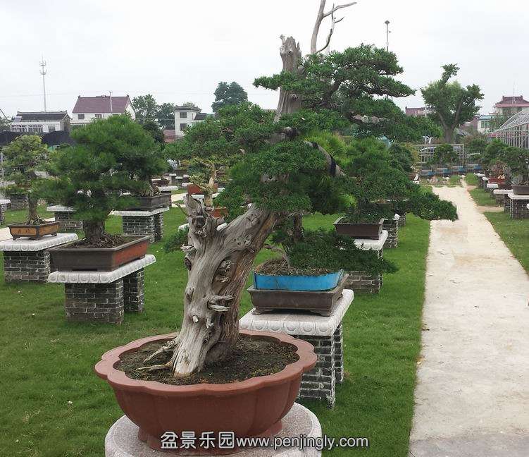 20140707_115724.jpg