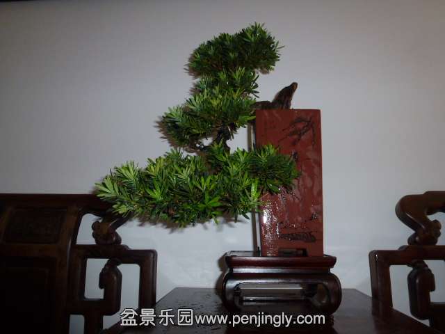 P1050617.JPG