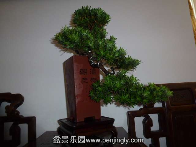 P1050618.JPG