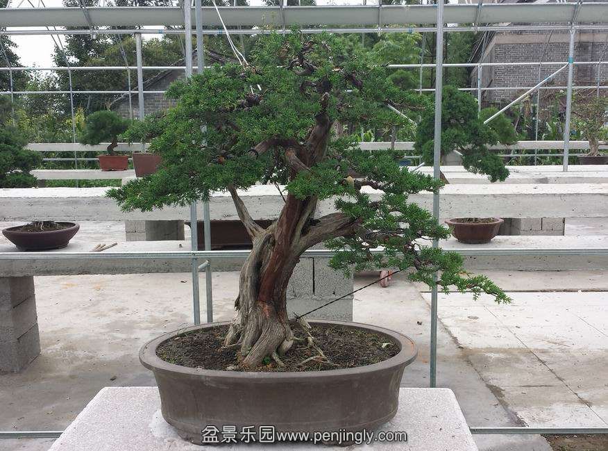 20140707_115616.jpg