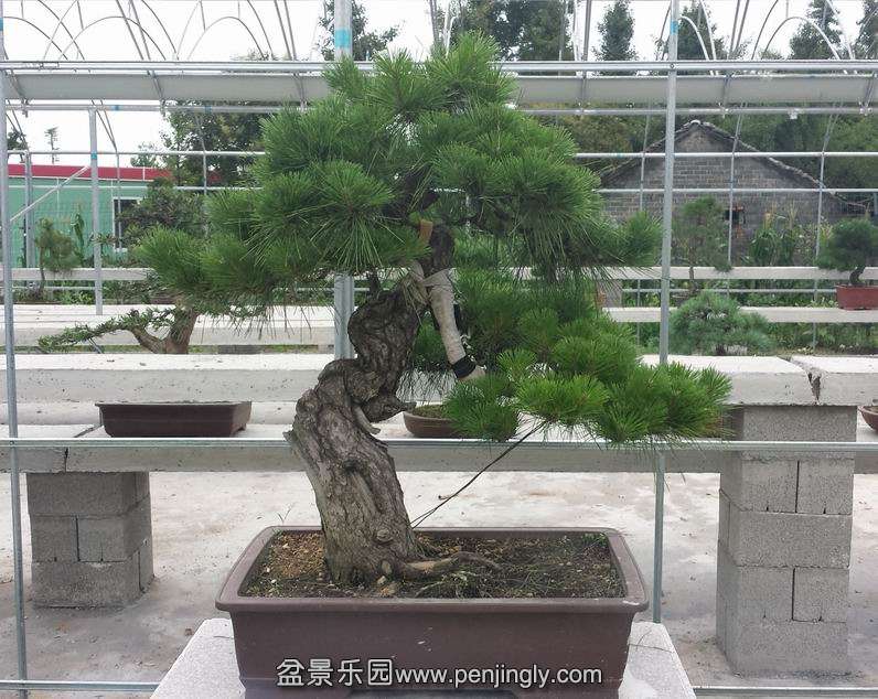 20140707_115543.jpg