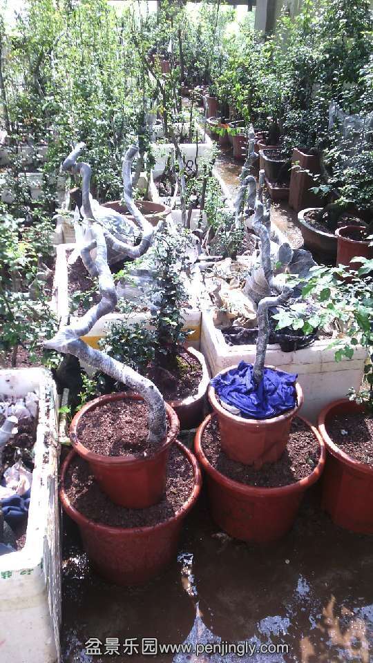 QQͼƬ20140727102046.jpg