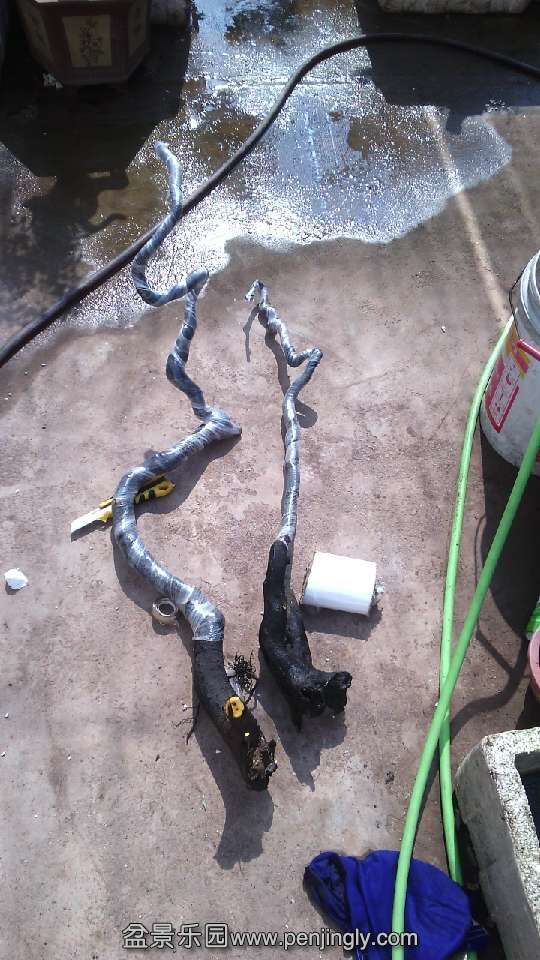 QQͼƬ20140727102023.jpg