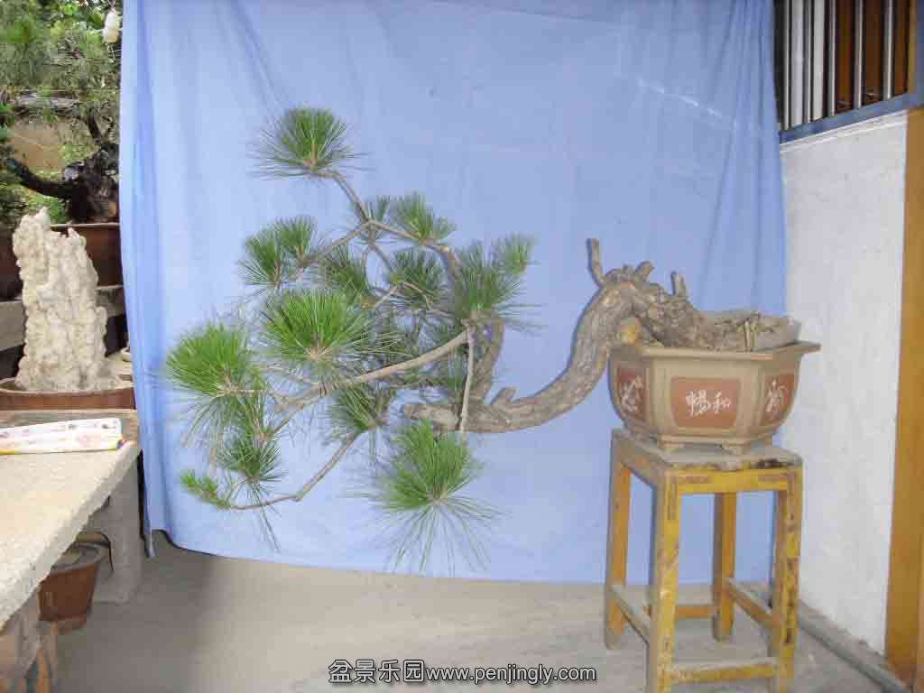 SDC12152.JPG