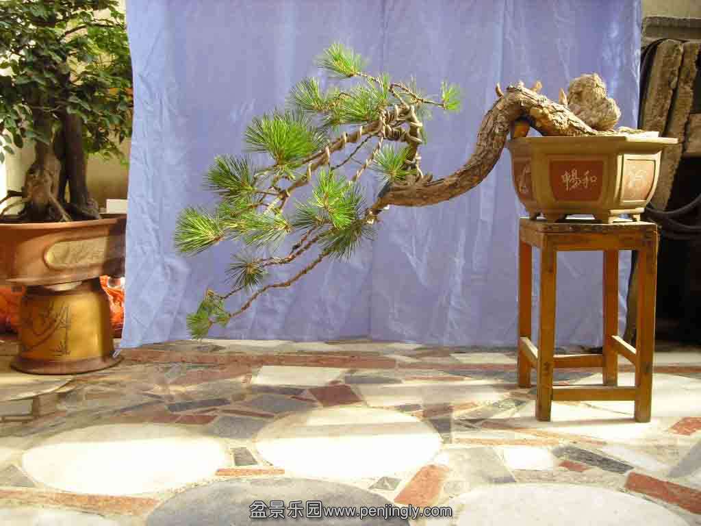 SDC12154.JPG