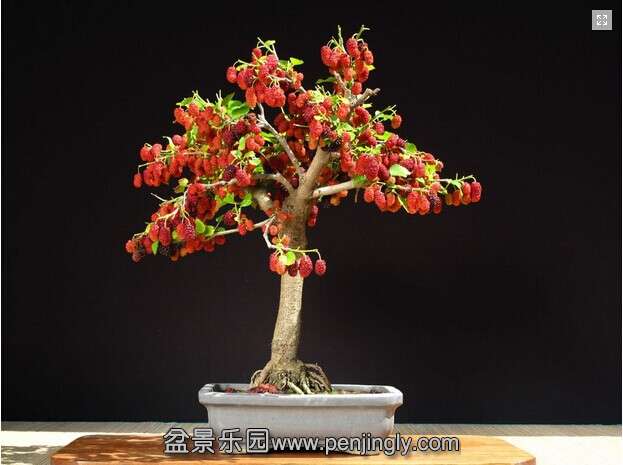 QQͼƬ20140730093915.jpg