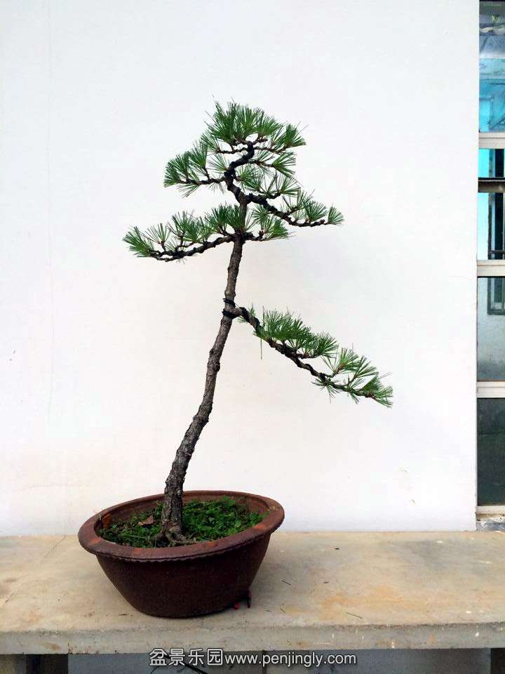 QQͼƬ20140730200244_.jpg