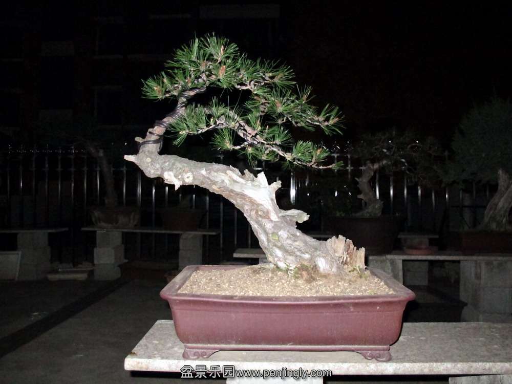 һ3.jpg