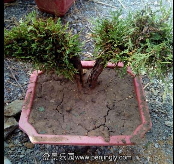 QQͼƬ20140611114348.jpg