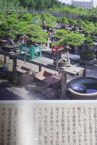 IMG_1809.PNG