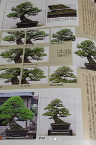 IMG_1811.PNG