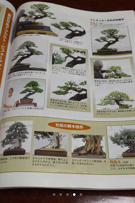 IMG_1814.PNG