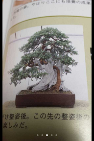IMG_1815.PNG