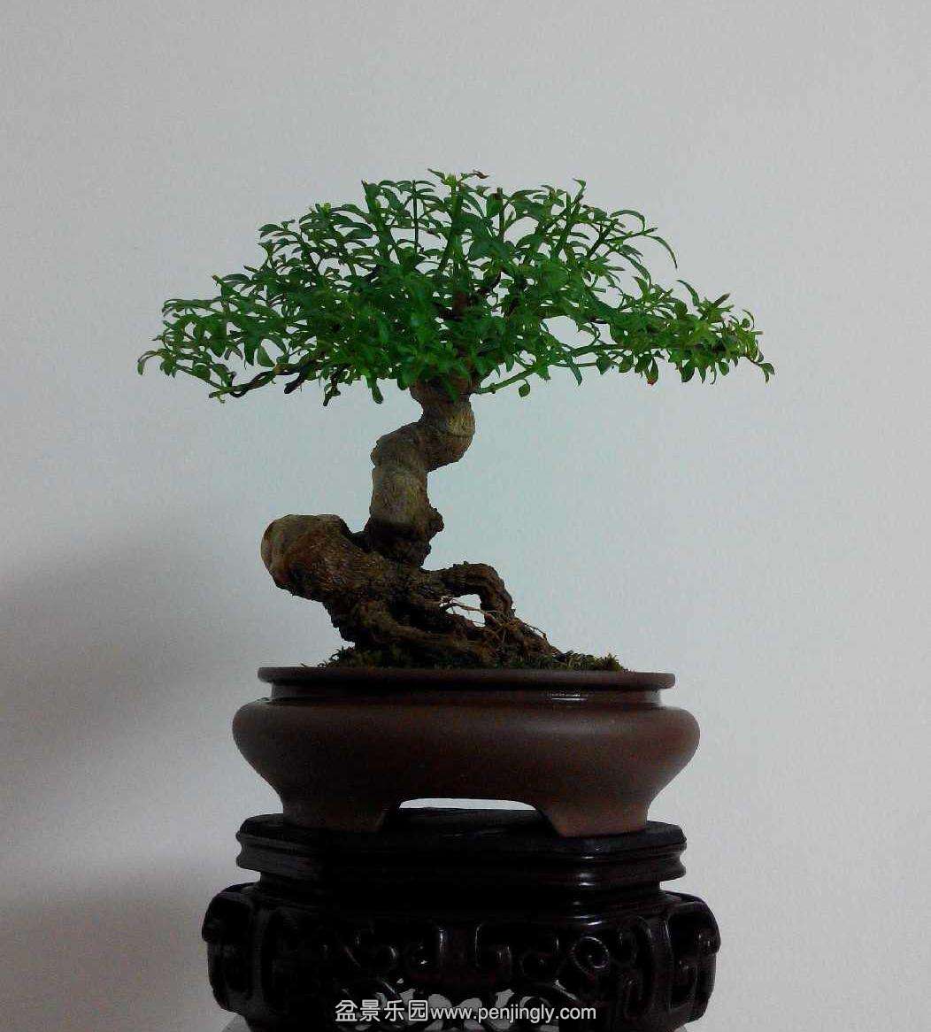 13590_1548372.jpg