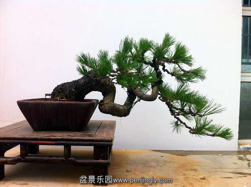 QQͼƬ20140804204456_.jpg