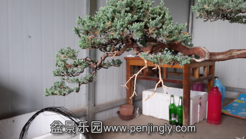 20140803_153233.jpg