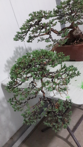 20140805_180312.jpg