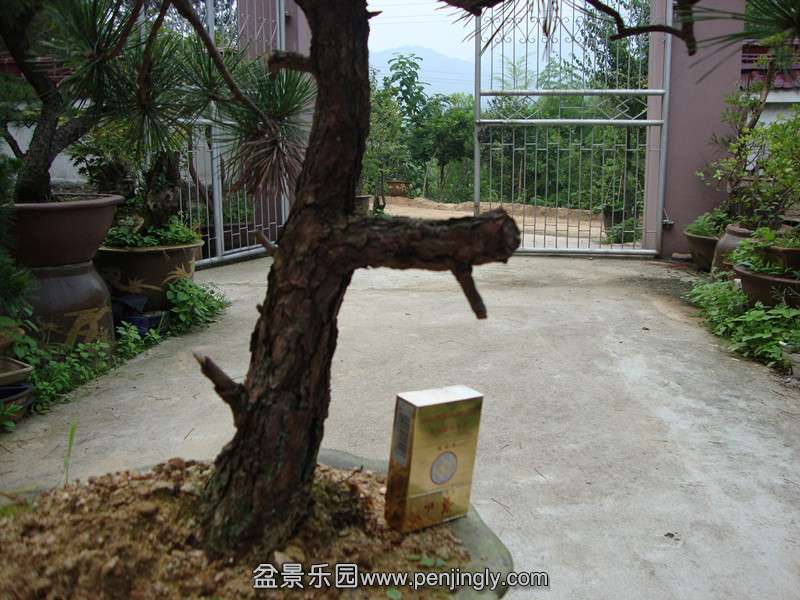 DSC01212_.jpg