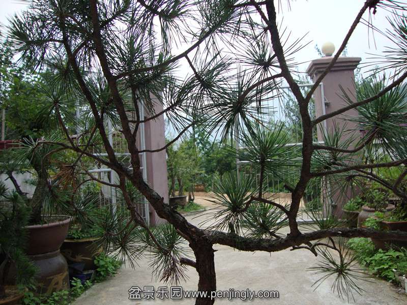 DSC01213_.jpg