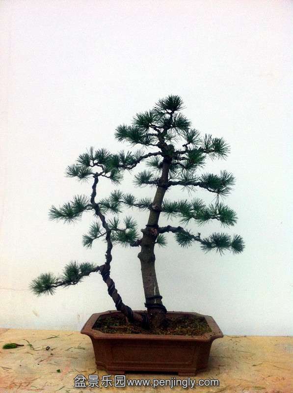 QQͼƬ20140807195847_.jpg