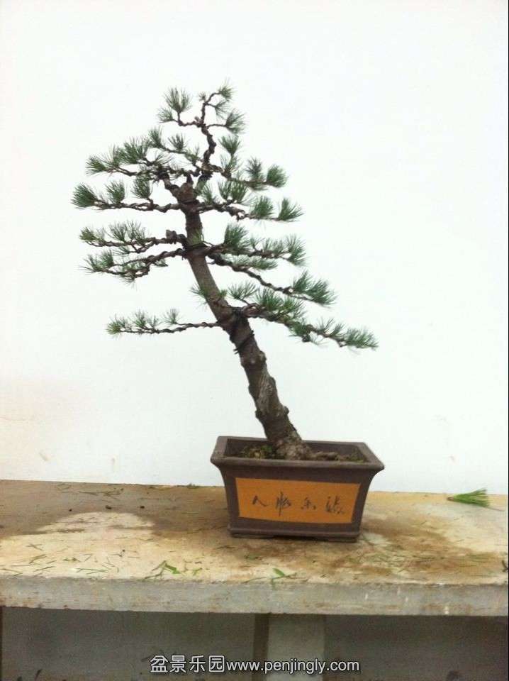 QQͼƬ20140808193554.jpg