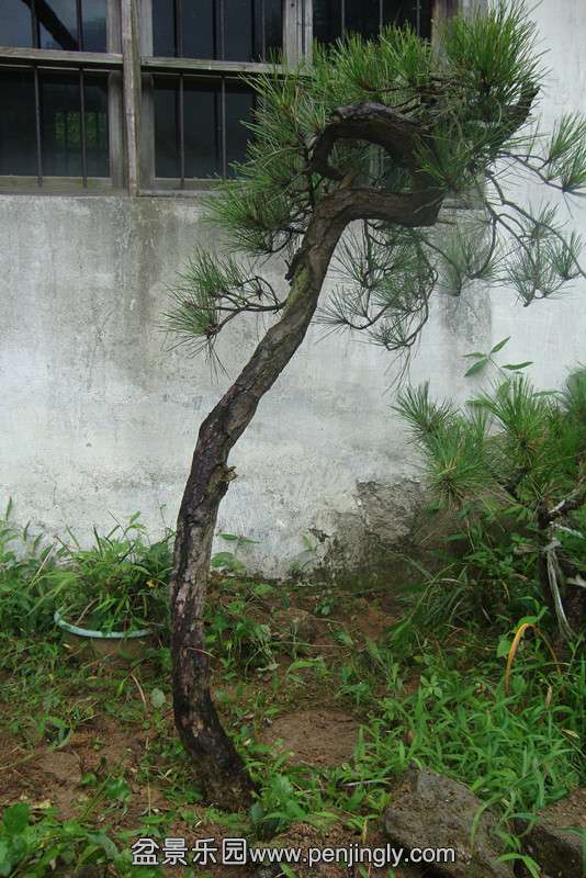 DSC02640_.jpg