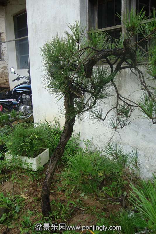 DSC02641_.jpg
