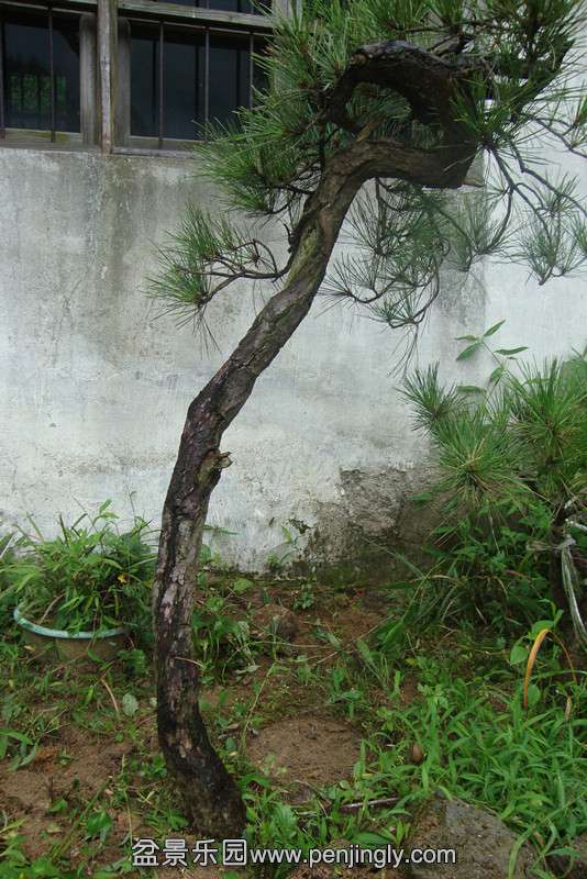 DSC02646_.jpg