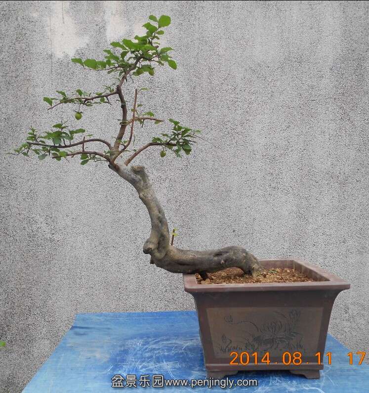 04ѻ׮衾5.jpg