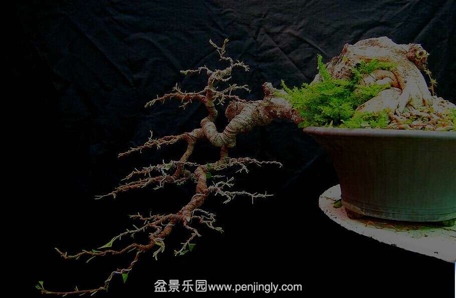 QQͼƬ20140811210725.jpg