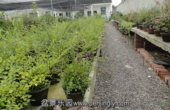 QQͼ20140812173901.png