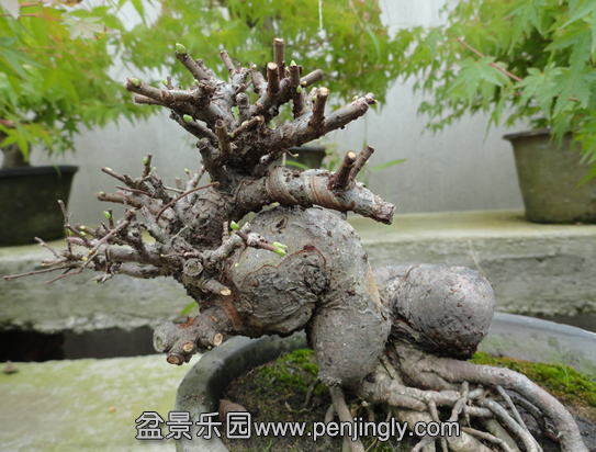 QQͼ20140812173913.png