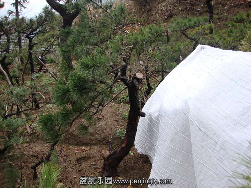 DSC01890_.jpg