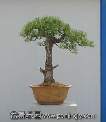 IMG_4920_.JPG