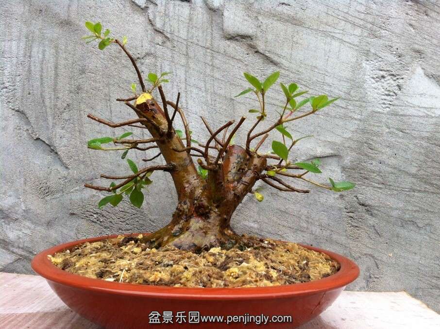 QQͼƬ20140814153019.jpg