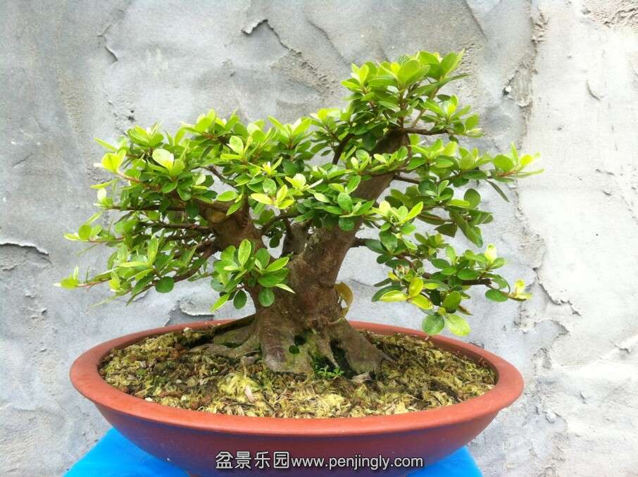 QQͼƬ20140814153220.jpg