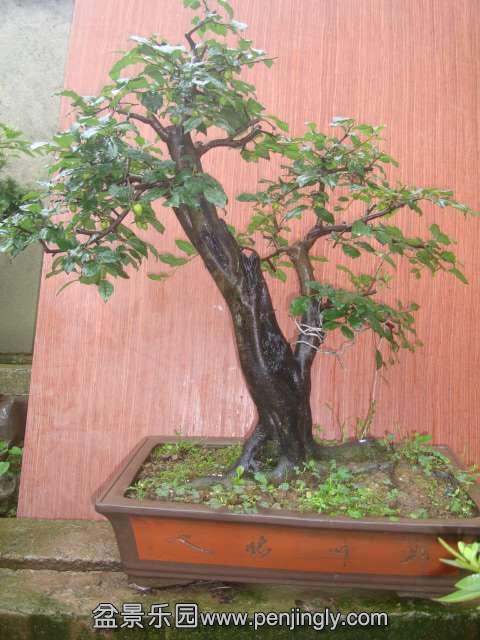 DSC04847.JPG